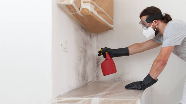 Professional Attic Mold Removal technician working in Franklin, VA