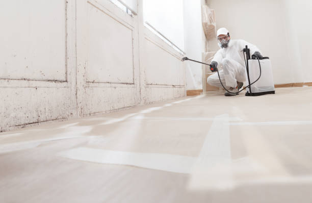 24/7 Emergency Attic Mold Removal experts in Franklin, VA